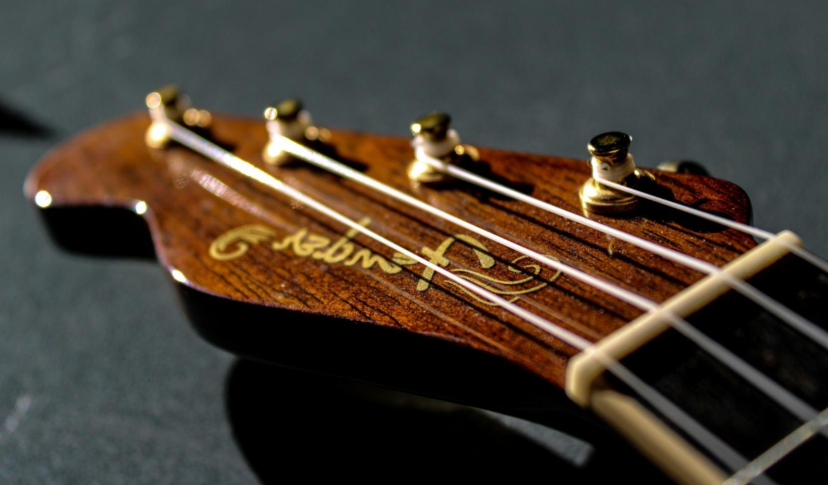 Musicista durante una performance dal vivo che dimostra tecniche di coinvolgimento del pubblico